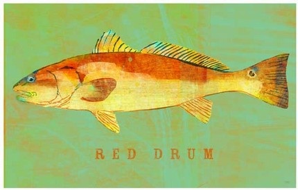 Red Drum-John W. Golden Etsy